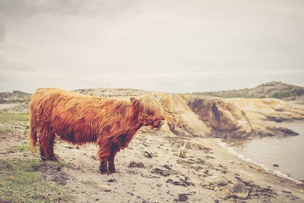 金凤区男孩幼儿艺术启蒙选吉他还是钢琴？银川美育舞蹈声乐古筝同步开课